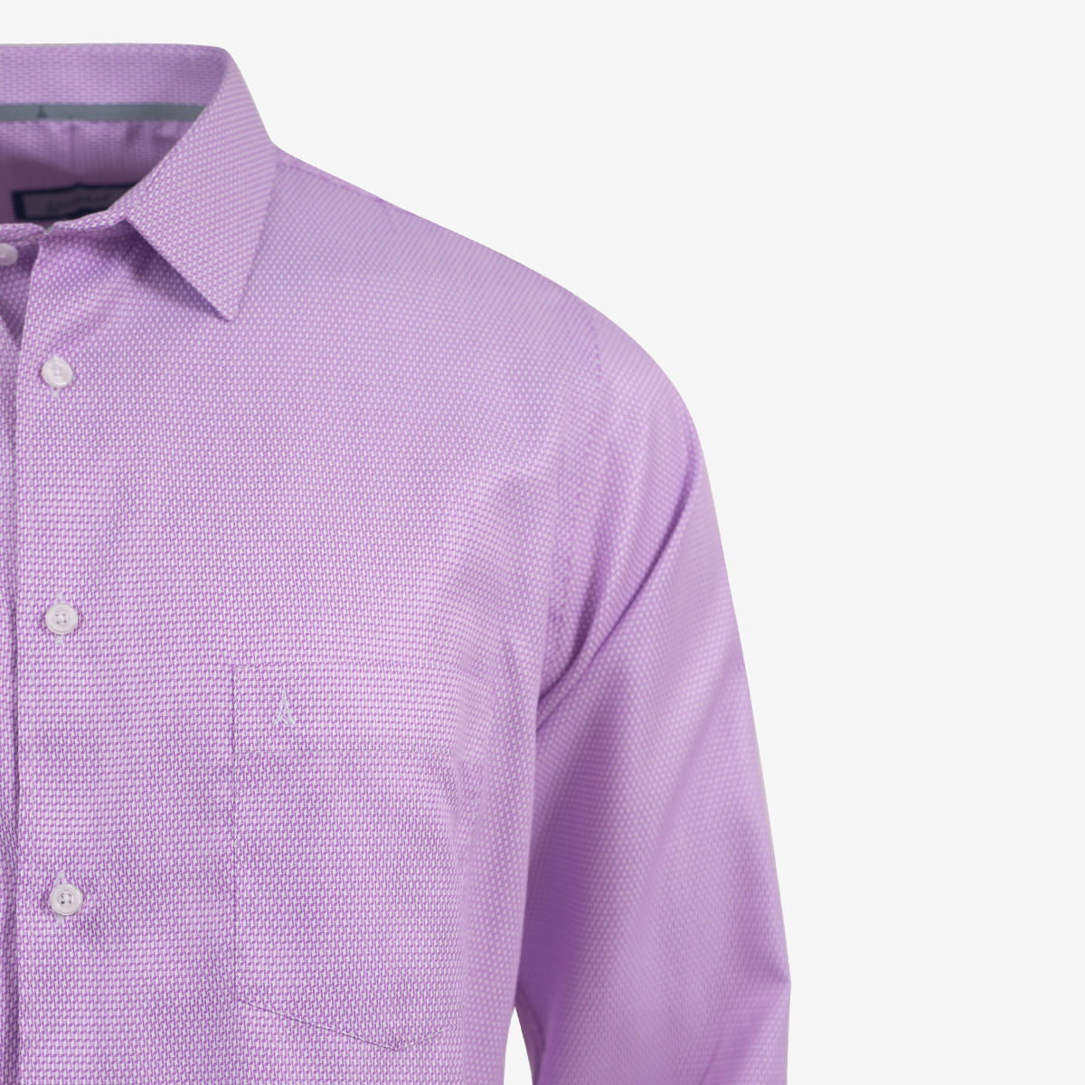 Camisa Manga Larga Clásica