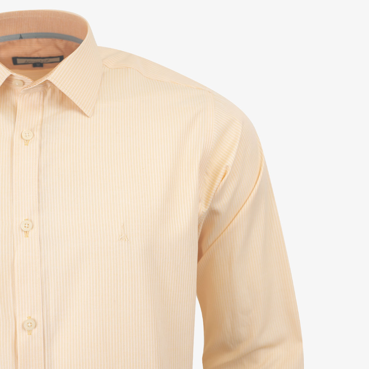 Camisa Manga Larga Clásica